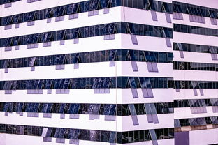 -中国篮球职业联赛青训体系建设与优化，中国青年篮球队